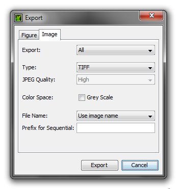 Export Images